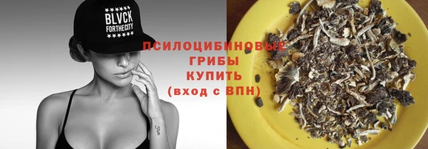 Альфа ПВП Алексин