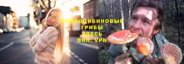стафф Армянск