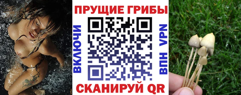 Галлюциногенные грибы прущие грибы Купить где Воркута